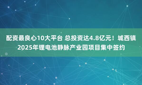 配资最良心10大平台 总投资达4.8亿元！城西镇2025年锂电池静脉产业园项目集中签约