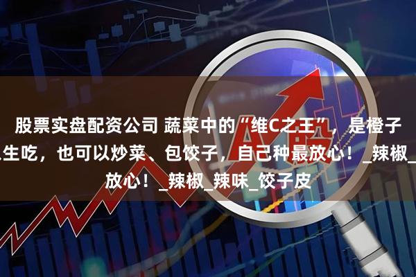 股票实盘配资公司 蔬菜中的“维C之王”，是橙子的4倍，可以生吃，也可以炒菜、包饺子，自己种最放心！_辣椒_辣味_饺子皮